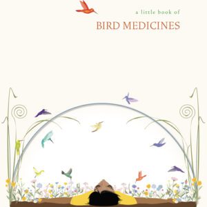 Bird medicine, little book of bird medicine, pass the feather
