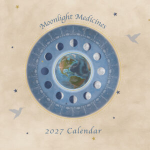Moontime Calendar, Moonlight Medicines, 2027