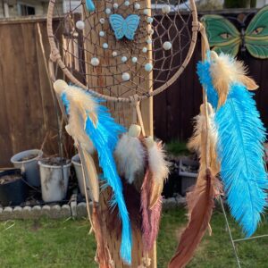 Cheyanne Dreamcatchers Indigenous Art