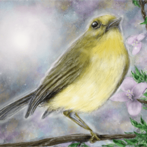 Yellow Warbler Print