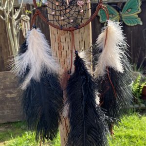 Dark Brown Dreamcatcher